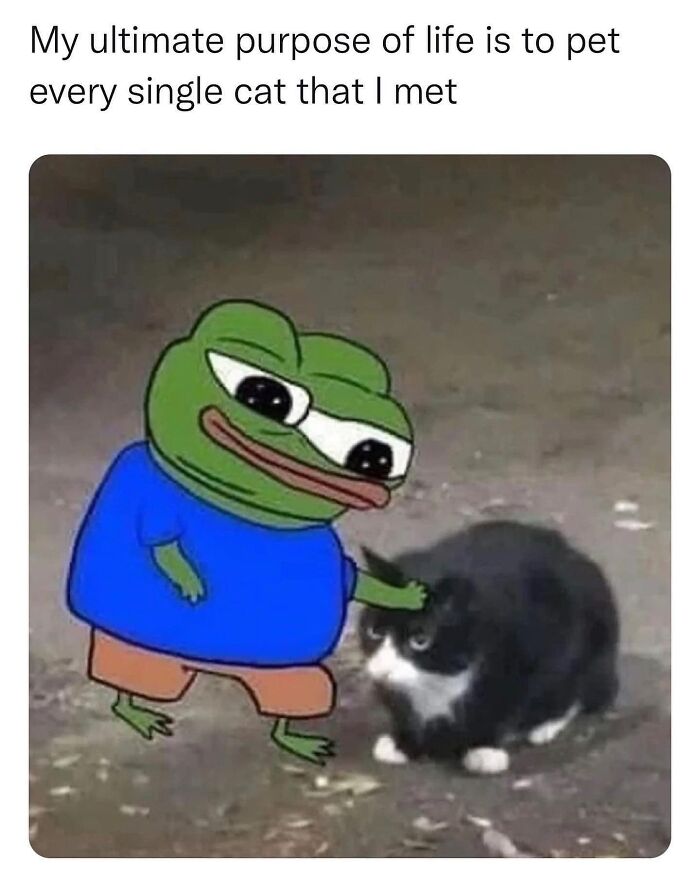 “Cats Of Instagram”: 36 Relatable Memes That Might Instantly Put You In A Good Mood “Cats Of Instagram”: 36 Relatable Memes That Might Instantly Put You In A Good Mood