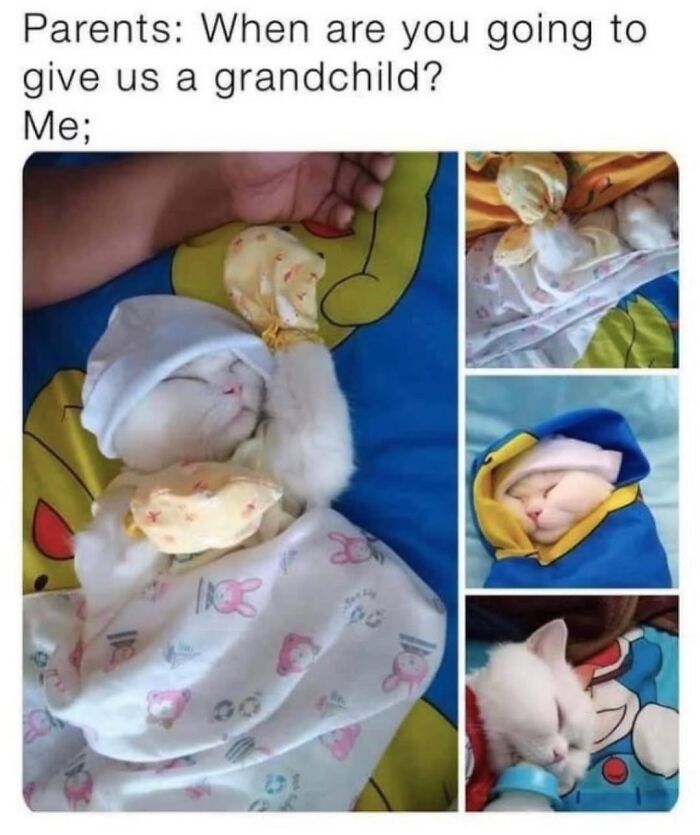 “Cats Of Instagram”: 36 Relatable Memes That Might Instantly Put You In A Good Mood “Cats Of Instagram”: 36 Relatable Memes That Might Instantly Put You In A Good Mood