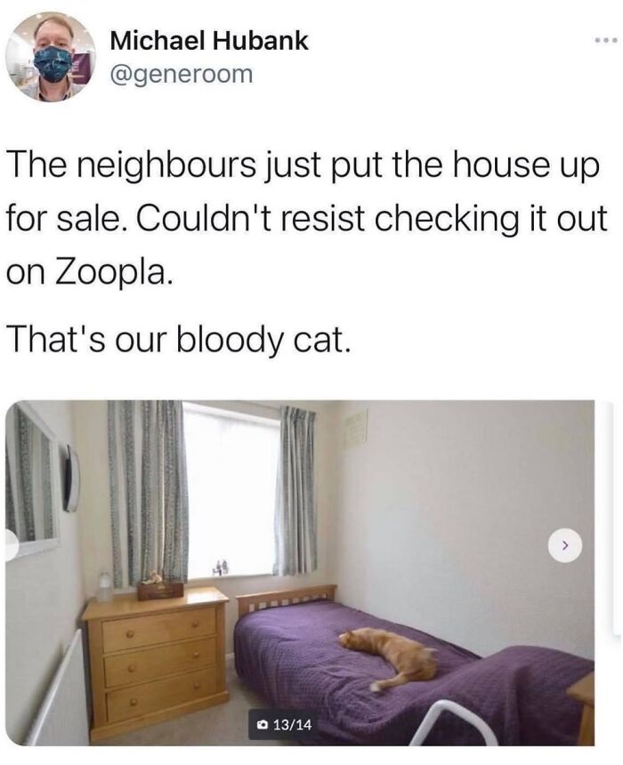 “Cats Of Instagram”: 36 Relatable Memes That Might Instantly Put You In A Good Mood “Cats Of Instagram”: 36 Relatable Memes That Might Instantly Put You In A Good Mood