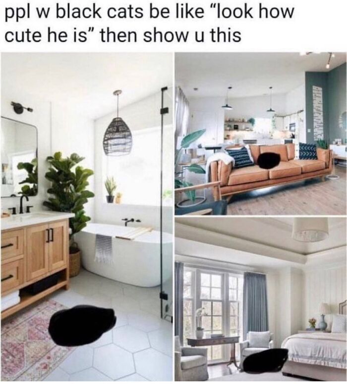 “Cats Of Instagram”: 36 Relatable Memes That Might Instantly Put You In A Good Mood “Cats Of Instagram”: 36 Relatable Memes That Might Instantly Put You In A Good Mood
