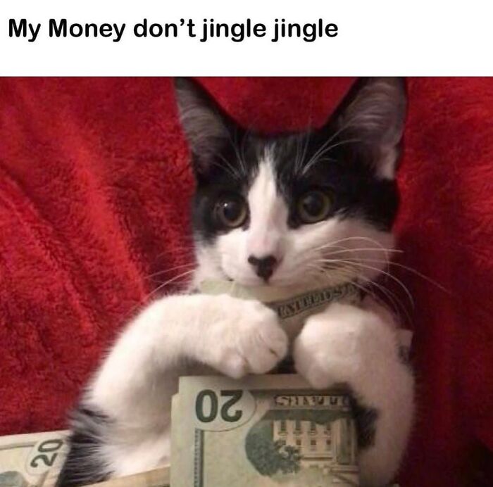 “Cats Of Instagram”: 36 Relatable Memes That Might Instantly Put You In A Good Mood “Cats Of Instagram”: 36 Relatable Memes That Might Instantly Put You In A Good Mood
