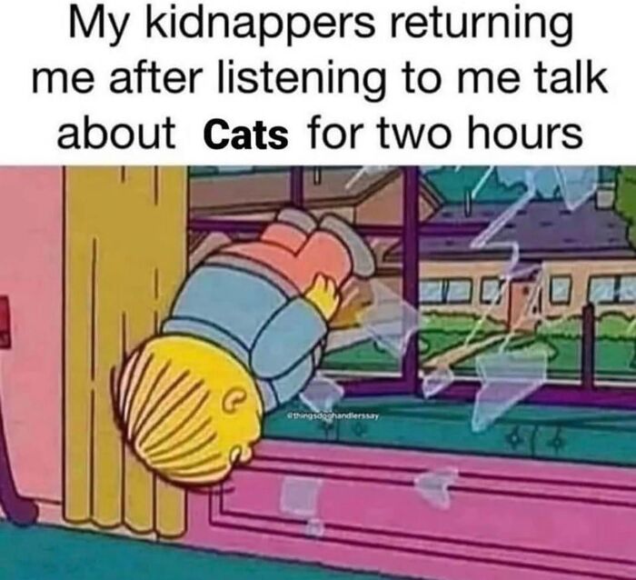 “Cats Of Instagram”: 36 Relatable Memes That Might Instantly Put You In A Good Mood “Cats Of Instagram”: 36 Relatable Memes That Might Instantly Put You In A Good Mood