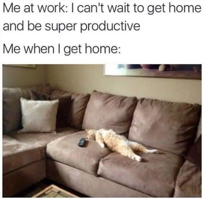 “Cats Of Instagram”: 36 Relatable Memes That Might Instantly Put You In A Good Mood “Cats Of Instagram”: 36 Relatable Memes That Might Instantly Put You In A Good Mood