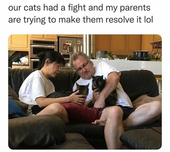 “Cats Of Instagram”: 36 Relatable Memes That Might Instantly Put You In A Good Mood “Cats Of Instagram”: 36 Relatable Memes That Might Instantly Put You In A Good Mood