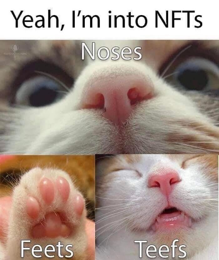 “Cats Of Instagram”: 36 Relatable Memes That Might Instantly Put You In A Good Mood “Cats Of Instagram”: 36 Relatable Memes That Might Instantly Put You In A Good Mood