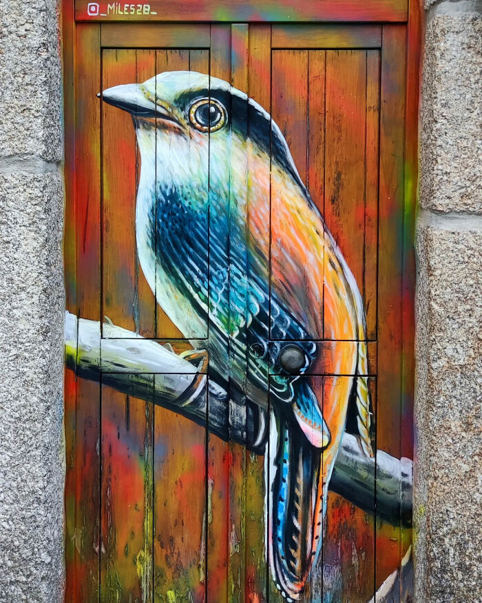 29 Street Art Transformations By Nuno Miles That Turn Buildings Into Hyperrealistic Art 29 Street Art Transformations By Nuno Miles That Turn Buildings Into Hyperrealistic Art