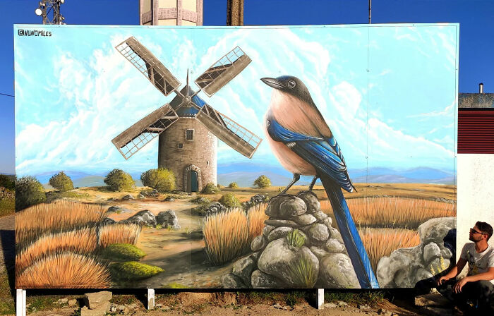 29 Street Art Transformations By Nuno Miles That Turn Buildings Into Hyperrealistic Art 29 Street Art Transformations By Nuno Miles That Turn Buildings Into Hyperrealistic Art