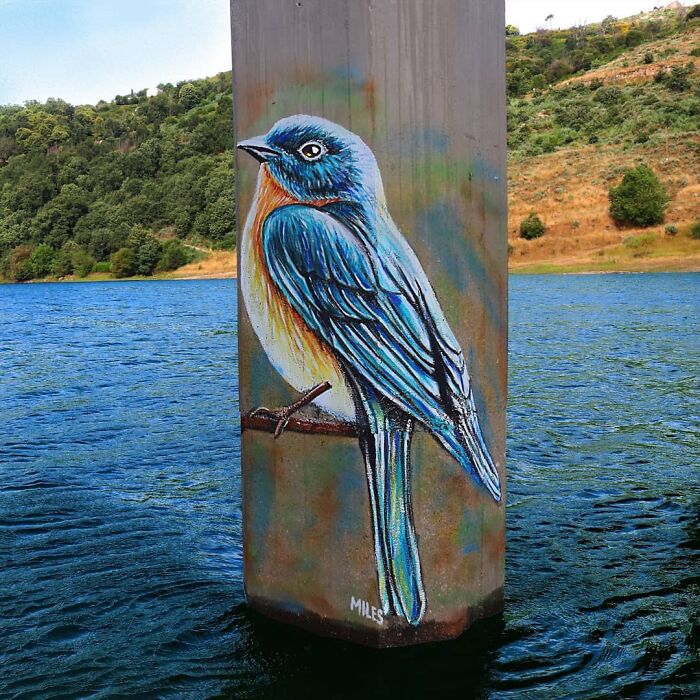 29 Street Art Transformations By Nuno Miles That Turn Buildings Into Hyperrealistic Art 29 Street Art Transformations By Nuno Miles That Turn Buildings Into Hyperrealistic Art