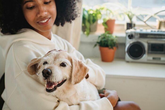 17 Weird Dog Behaviors, Explained By An Expert 17 Weird Dog Behaviors, Explained By An Expert