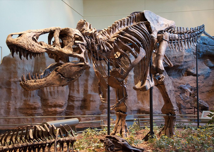 A Fashion Label Claims To Have Lab-Grown A “T-Rex Leather” Handbag But Now They Can’t Find Anyone To Buy It A Fashion Label Claims To Have Lab-Grown A “T-Rex Leather” Handbag But Now They Can’t Find Anyone To Buy It