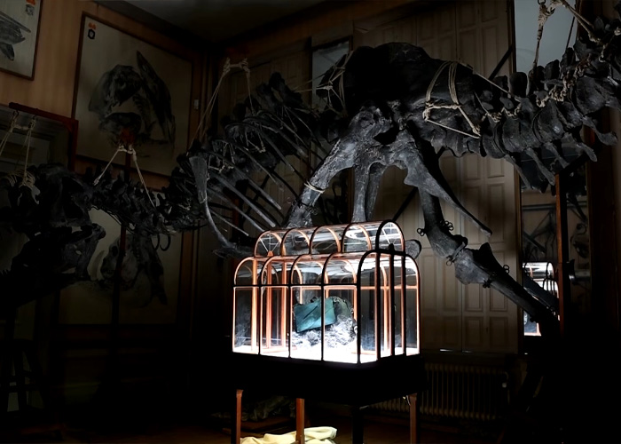 A Fashion Label Claims To Have Lab-Grown A “T-Rex Leather” Handbag But Now They Can’t Find Anyone To Buy It A Fashion Label Claims To Have Lab-Grown A “T-Rex Leather” Handbag But Now They Can’t Find Anyone To Buy It
