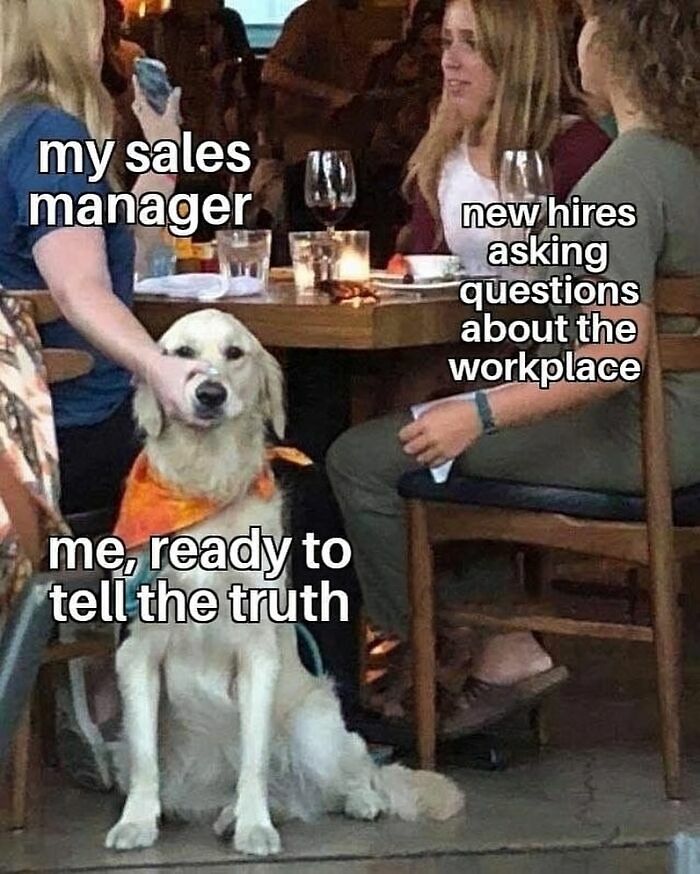 81 Hilariously Painful Memes Only Salespeople Will Truly Understand