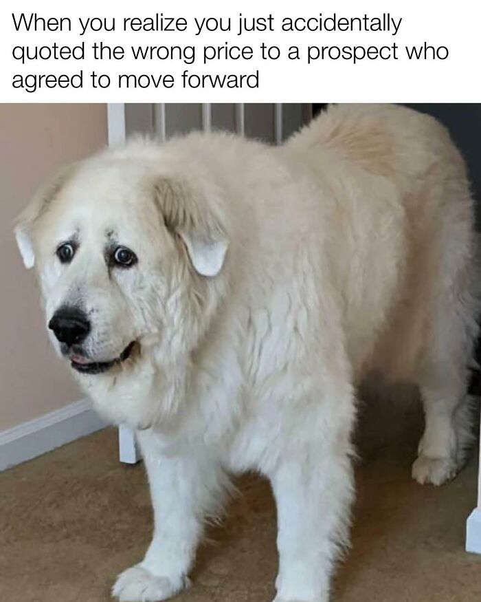 81 Hilariously Painful Memes Only Salespeople Will Truly Understand