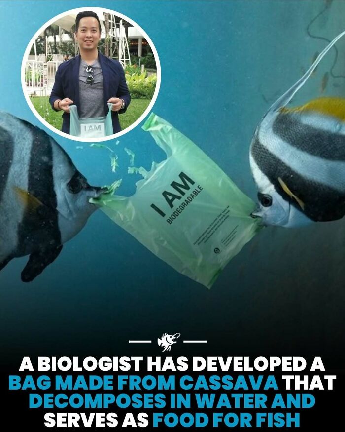 “He Was Inside The Mouth Of A Humpback Whale”: 79 Strange And Fascinating Facts About The Deep Dark Ocean (New Pics) “He Was Inside The Mouth Of A Humpback Whale”: 79 Strange And Fascinating Facts About The Deep Dark Ocean (New Pics)