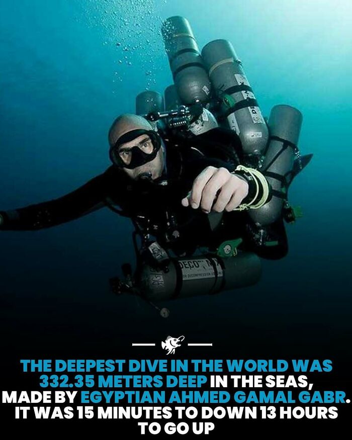 “He Was Inside The Mouth Of A Humpback Whale”: 79 Strange And Fascinating Facts About The Deep Dark Ocean (New Pics) “He Was Inside The Mouth Of A Humpback Whale”: 79 Strange And Fascinating Facts About The Deep Dark Ocean (New Pics)