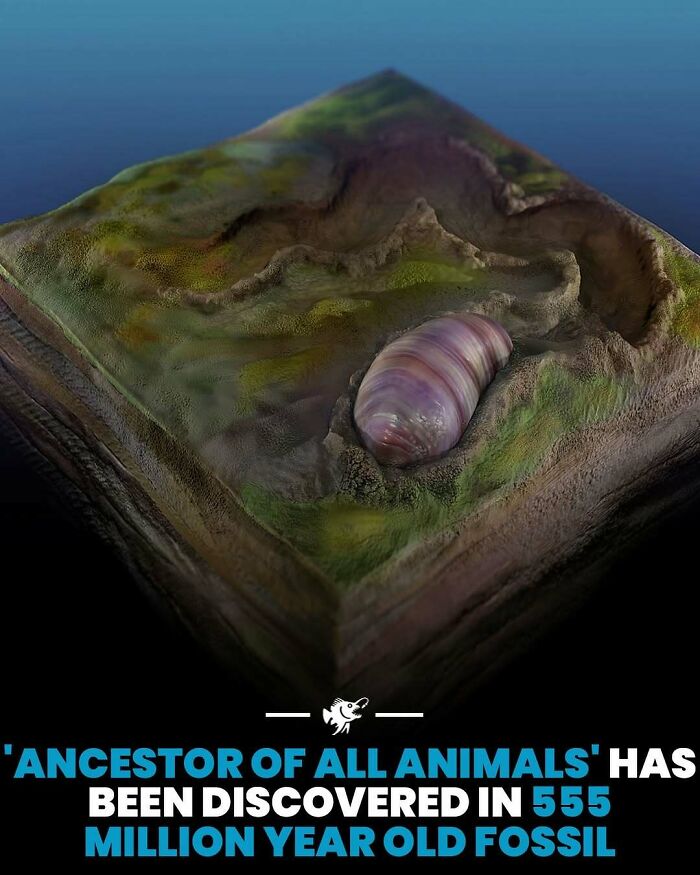 “He Was Inside The Mouth Of A Humpback Whale”: 79 Strange And Fascinating Facts About The Deep Dark Ocean (New Pics) “He Was Inside The Mouth Of A Humpback Whale”: 79 Strange And Fascinating Facts About The Deep Dark Ocean (New Pics)