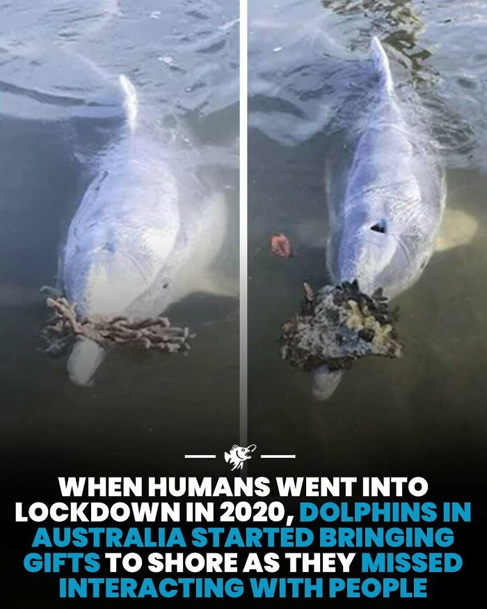 “He Was Inside The Mouth Of A Humpback Whale”: 79 Strange And Fascinating Facts About The Deep Dark Ocean (New Pics) “He Was Inside The Mouth Of A Humpback Whale”: 79 Strange And Fascinating Facts About The Deep Dark Ocean (New Pics)