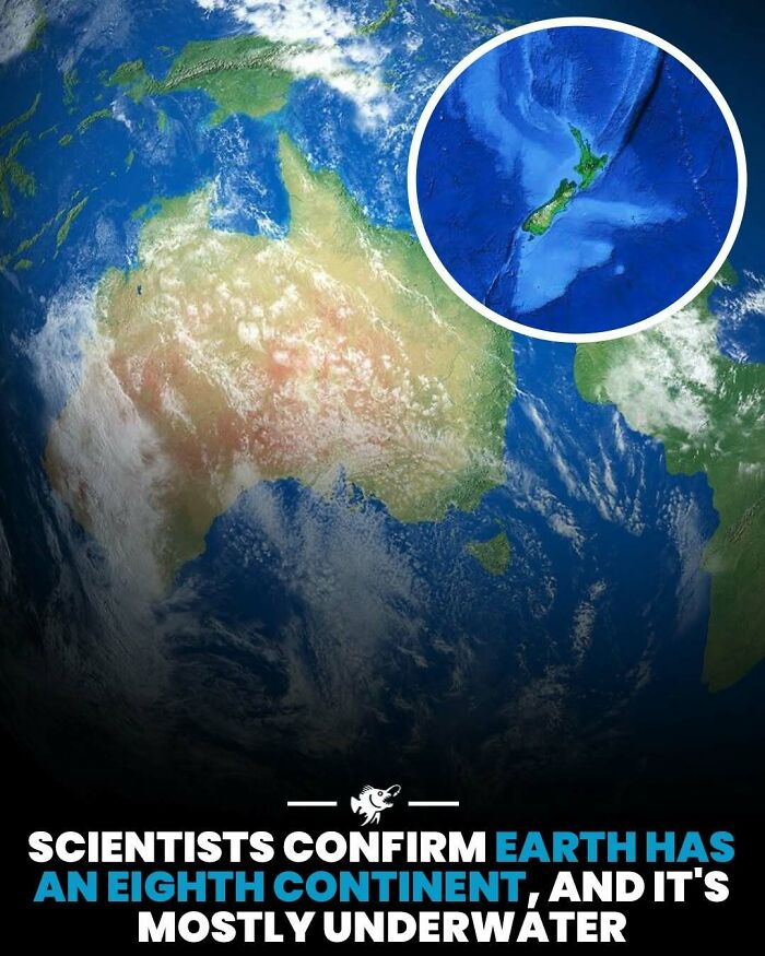 “He Was Inside The Mouth Of A Humpback Whale”: 79 Strange And Fascinating Facts About The Deep Dark Ocean (New Pics) “He Was Inside The Mouth Of A Humpback Whale”: 79 Strange And Fascinating Facts About The Deep Dark Ocean (New Pics)