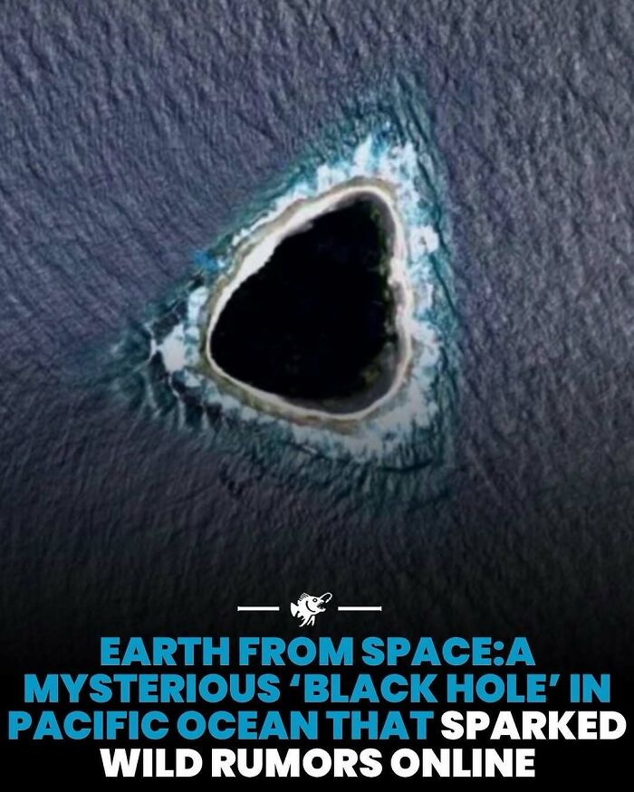 “He Was Inside The Mouth Of A Humpback Whale”: 79 Strange And Fascinating Facts About The Deep Dark Ocean (New Pics) “He Was Inside The Mouth Of A Humpback Whale”: 79 Strange And Fascinating Facts About The Deep Dark Ocean (New Pics)