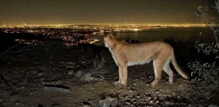 64 Scary Photos That Prove We’re Currently Living In An Urban Hell
