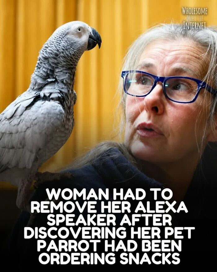 67 Amazing And Uplifting Pics From The “Wholesome Meets The Internet” Page (New Pics) 67 Amazing And Uplifting Pics From The “Wholesome Meets The Internet” Page (New Pics)
