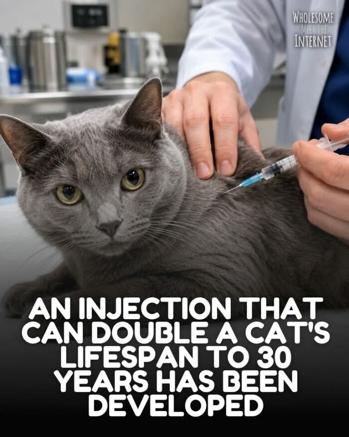 67 Amazing And Uplifting Pics From The “Wholesome Meets The Internet” Page (New Pics) 67 Amazing And Uplifting Pics From The “Wholesome Meets The Internet” Page (New Pics)