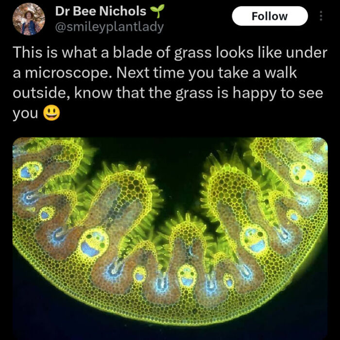 67 Amazing And Uplifting Pics From The “Wholesome Meets The Internet” Page (New Pics) 67 Amazing And Uplifting Pics From The “Wholesome Meets The Internet” Page (New Pics)
