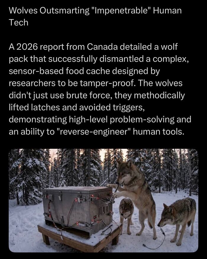 “Here To Explain Everything”: 92 Facts And Stories You Might Not Have Heard Of Before “Here To Explain Everything”: 92 Facts And Stories You Might Not Have Heard Of Before