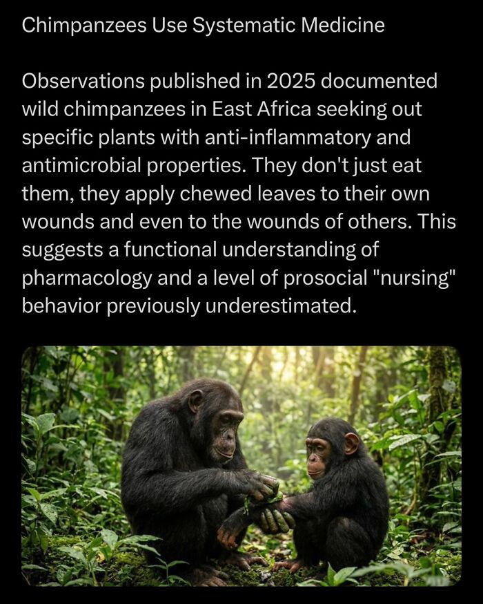 “Here To Explain Everything”: 92 Facts And Stories You Might Not Have Heard Of Before “Here To Explain Everything”: 92 Facts And Stories You Might Not Have Heard Of Before