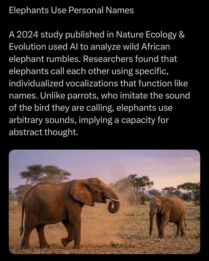 “Here To Explain Everything”: 92 Facts And Stories You Might Not Have Heard Of Before “Here To Explain Everything”: 92 Facts And Stories You Might Not Have Heard Of Before