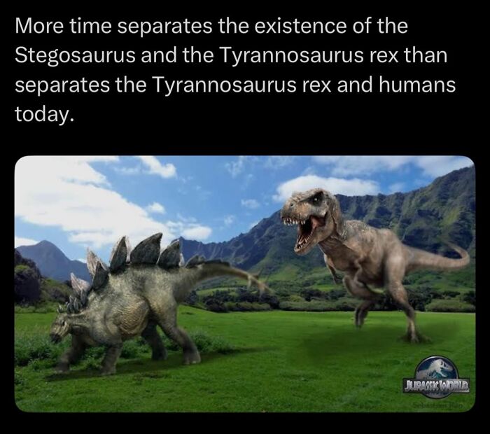 “Here To Explain Everything”: 92 Facts And Stories You Might Not Have Heard Of Before “Here To Explain Everything”: 92 Facts And Stories You Might Not Have Heard Of Before