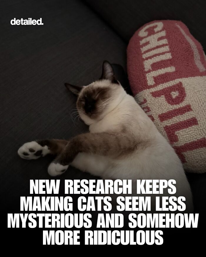 “Here To Explain Everything”: 92 Facts And Stories You Might Not Have Heard Of Before “Here To Explain Everything”: 92 Facts And Stories You Might Not Have Heard Of Before