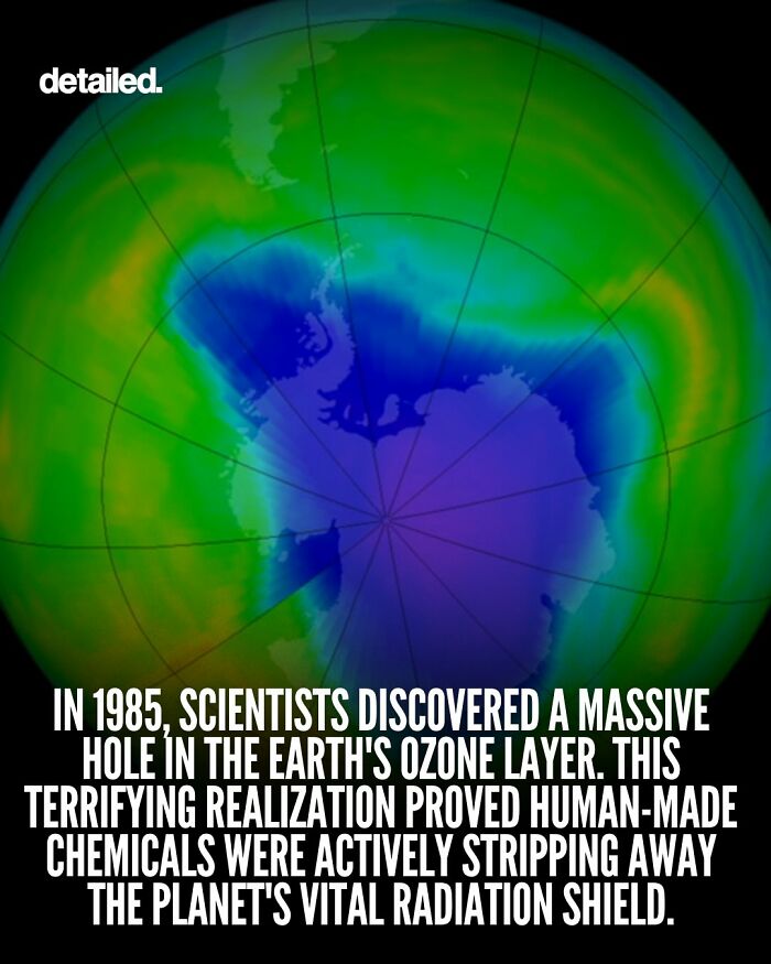 “Here To Explain Everything”: 92 Facts And Stories You Might Not Have Heard Of Before “Here To Explain Everything”: 92 Facts And Stories You Might Not Have Heard Of Before