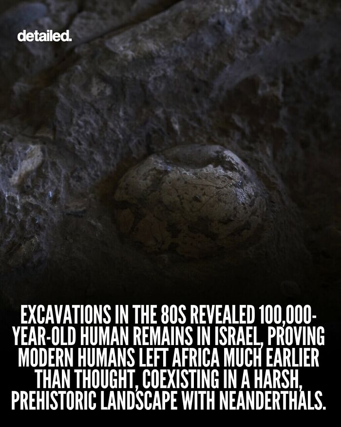 “Here To Explain Everything”: 92 Facts And Stories You Might Not Have Heard Of Before “Here To Explain Everything”: 92 Facts And Stories You Might Not Have Heard Of Before