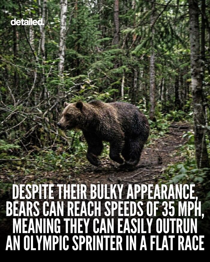 “Here To Explain Everything”: 92 Facts And Stories You Might Not Have Heard Of Before “Here To Explain Everything”: 92 Facts And Stories You Might Not Have Heard Of Before