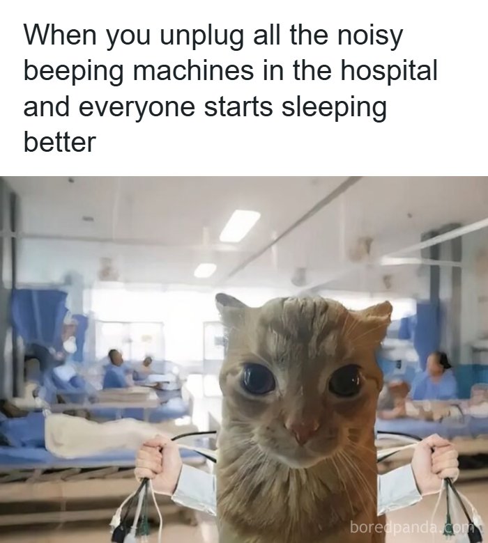 85 Random Memes To Crack You Up And Make Your Day Better 85 Random Memes To Crack You Up And Make Your Day Better