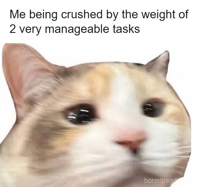 85 Random Memes To Crack You Up And Make Your Day Better 85 Random Memes To Crack You Up And Make Your Day Better