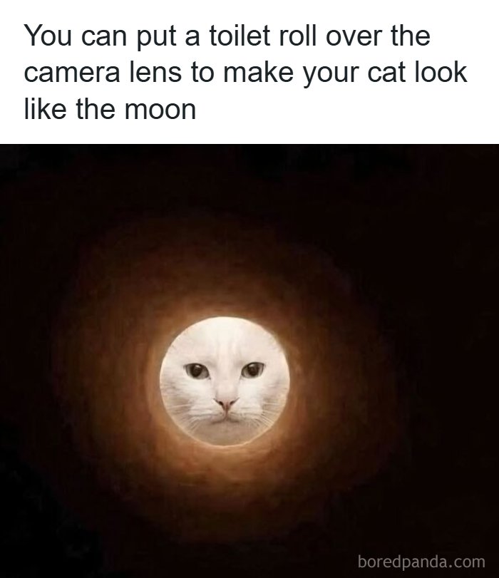 85 Random Memes To Crack You Up And Make Your Day Better 85 Random Memes To Crack You Up And Make Your Day Better