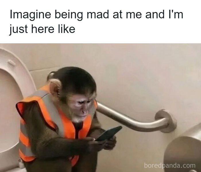 85 Random Memes To Crack You Up And Make Your Day Better 85 Random Memes To Crack You Up And Make Your Day Better