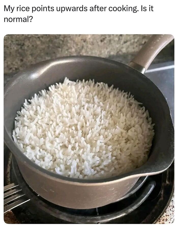85 Random Memes To Crack You Up And Make Your Day Better 85 Random Memes To Crack You Up And Make Your Day Better