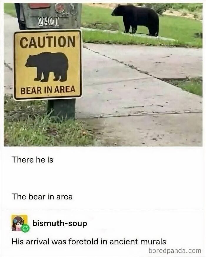 85 Random Memes To Crack You Up And Make Your Day Better 85 Random Memes To Crack You Up And Make Your Day Better