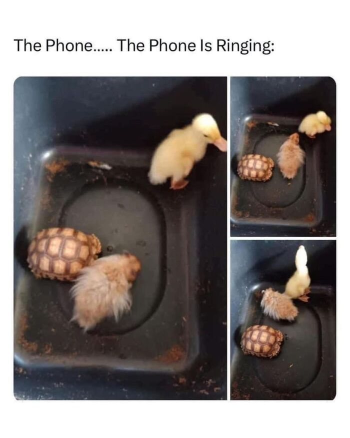 85 Random Memes To Crack You Up And Make Your Day Better 85 Random Memes To Crack You Up And Make Your Day Better