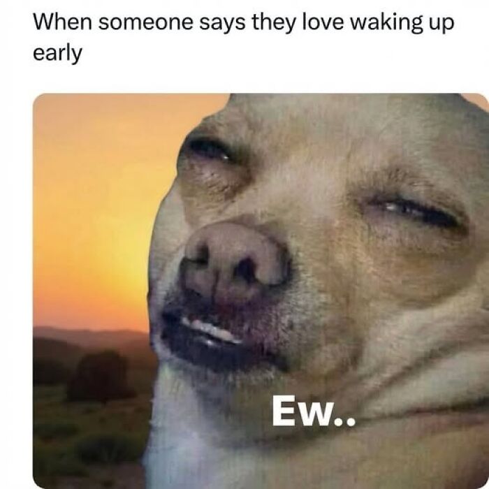 85 Random Memes To Crack You Up And Make Your Day Better 85 Random Memes To Crack You Up And Make Your Day Better