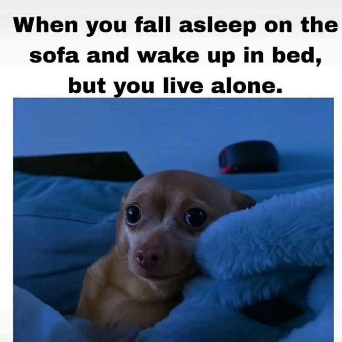 85 Random Memes To Crack You Up And Make Your Day Better 85 Random Memes To Crack You Up And Make Your Day Better