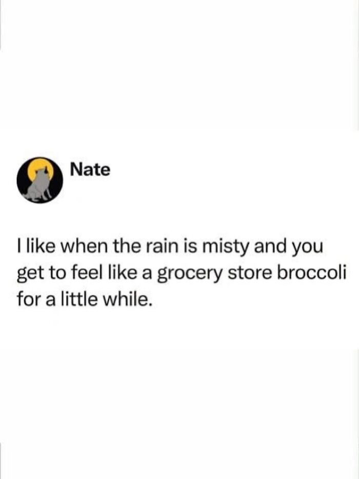 85 Random Memes To Crack You Up And Make Your Day Better 85 Random Memes To Crack You Up And Make Your Day Better