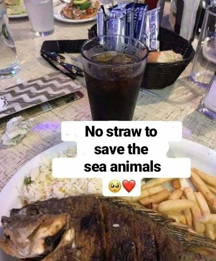 75 Times Irony Was Taken To Another Level 75 Times Irony Was Taken To Another Level