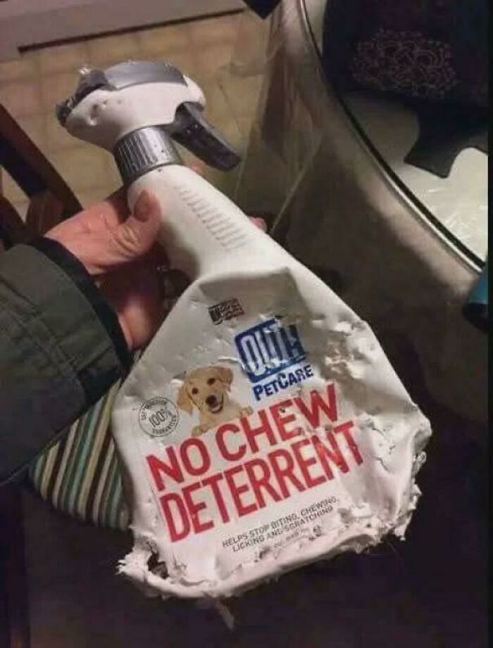 75 Times Irony Was Taken To Another Level 75 Times Irony Was Taken To Another Level