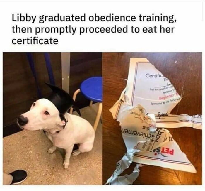 75 Times Irony Was Taken To Another Level 75 Times Irony Was Taken To Another Level