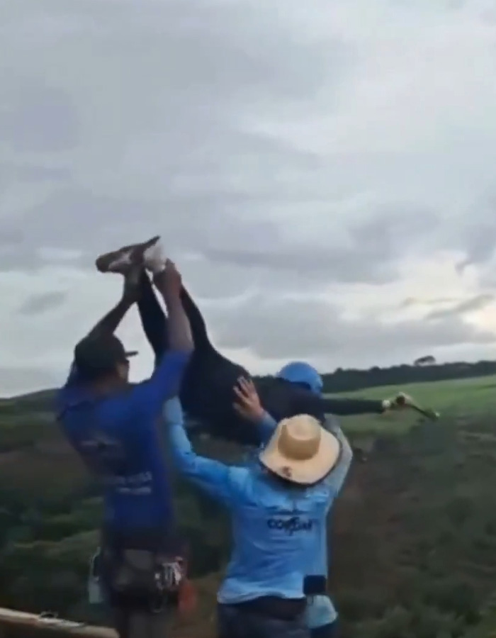 Brazilian Woman Loses Her Life In Rope Jump Disaster After Staff Make Critical Error During Attraction Brazilian Woman Loses Her Life In Rope Jump Disaster After Staff Make Critical Error During Attraction