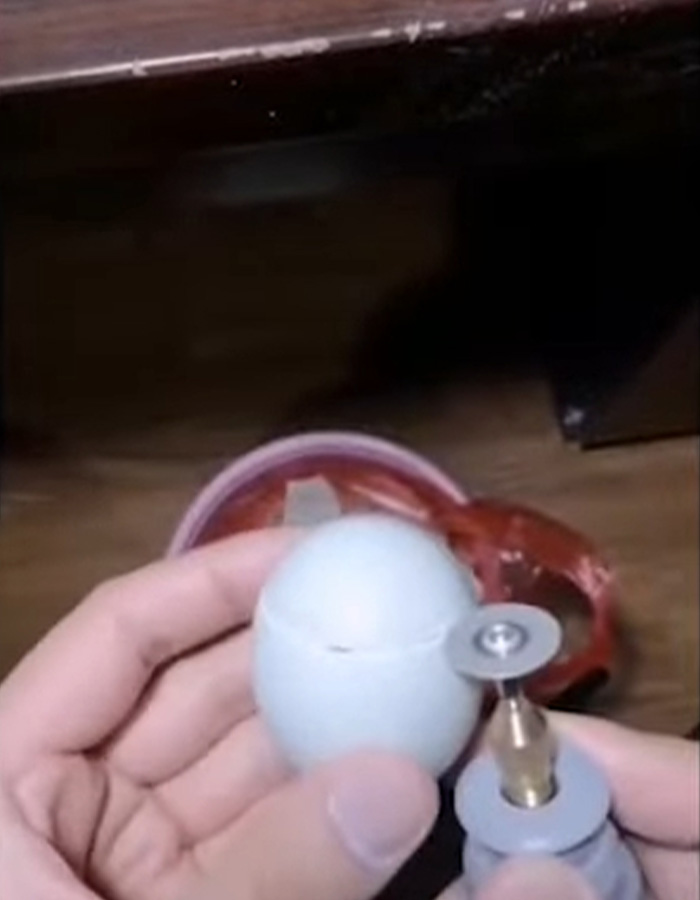 “Quite Horrifying”: Man Successfully Grows A Chicken In An Open Egg And Gets It On Video “Quite Horrifying”: Man Successfully Grows A Chicken In An Open Egg And Gets It On Video
